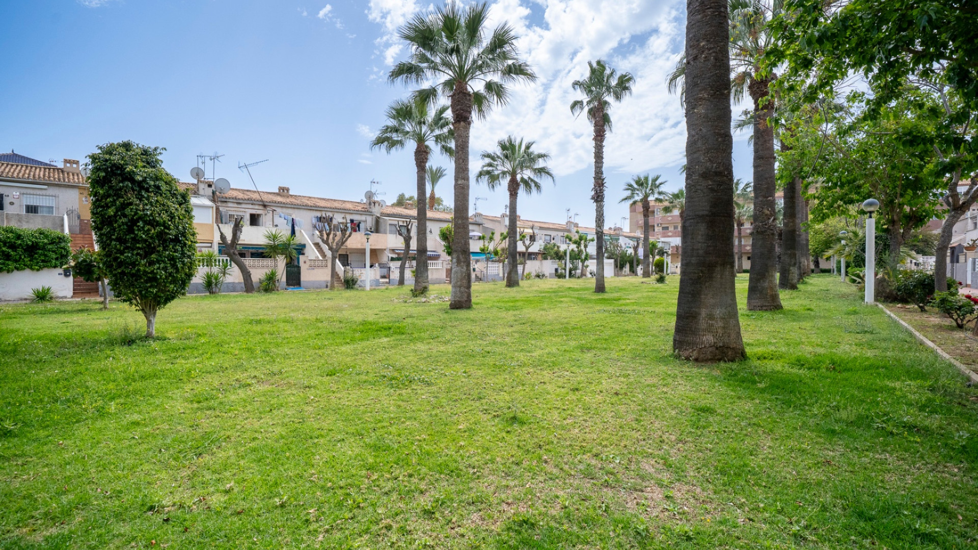 Sprzedaż - Apartment - Orihuela Costa - Cabo Roig