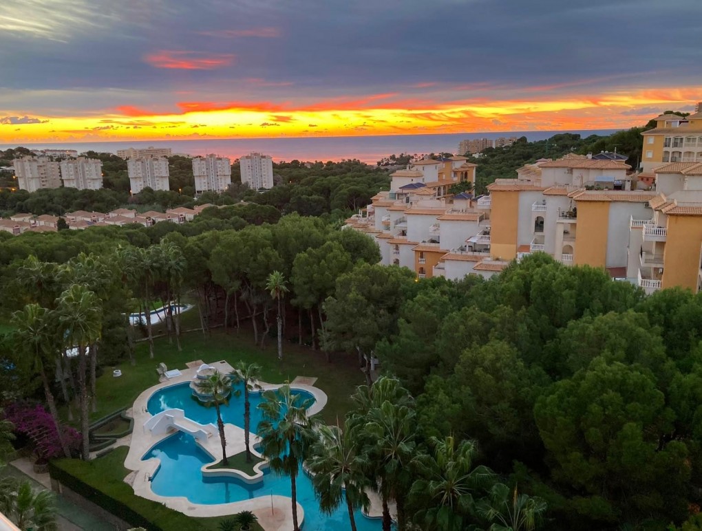 Sprzedaż - Apartment - Orihuela Costa - Dehesa de Campoamor