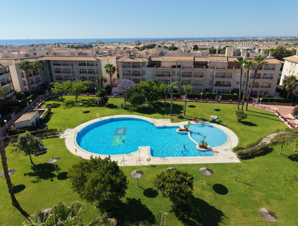 Sprzedaż - Apartment - Orihuela Costa - Playa Flamenca
