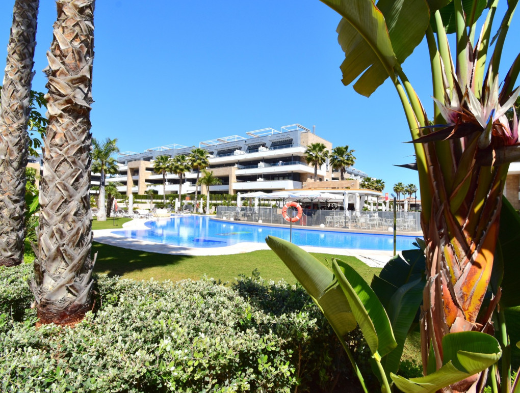 Sprzedaż - Apartment - Orihuela Costa - Playa Flamenca