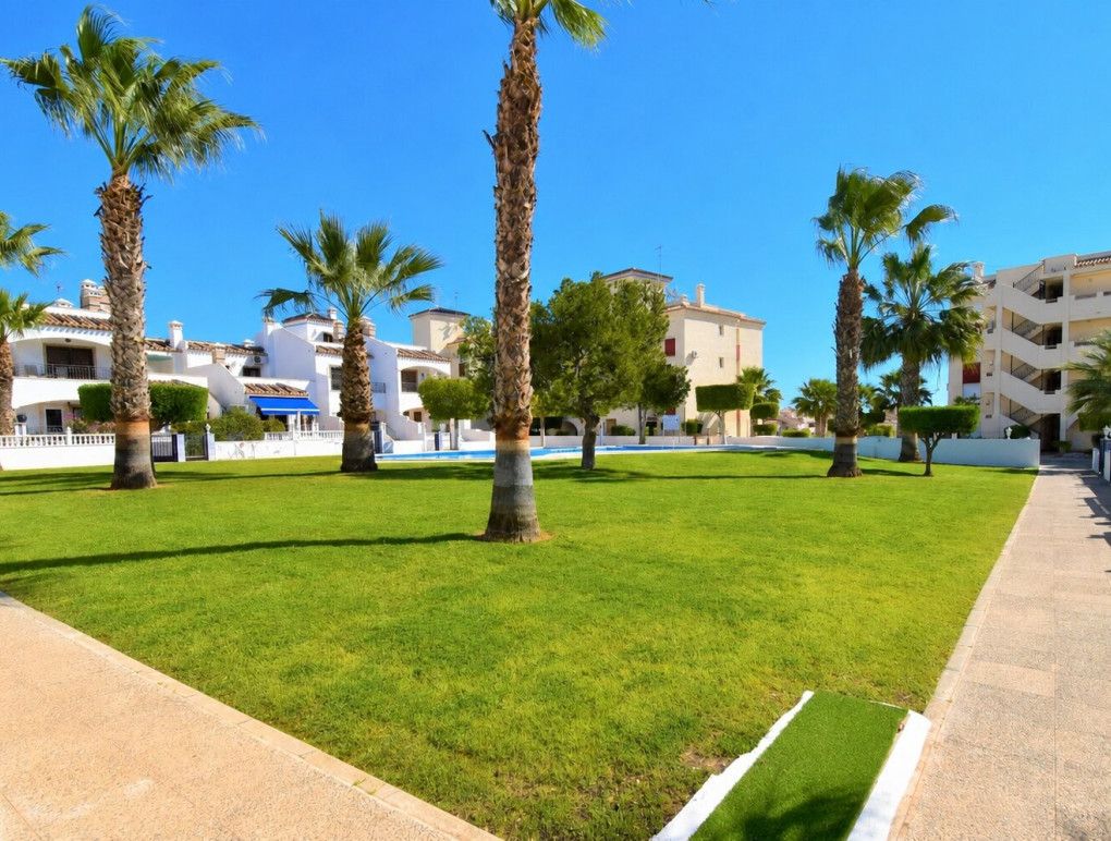 Sprzedaż - Apartment - Orihuela Costa - Playa Flamenca