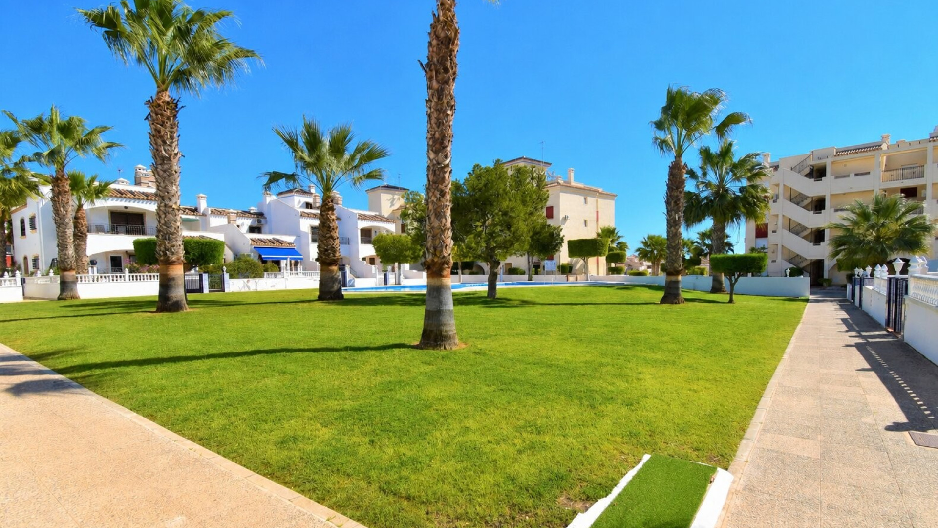 Sprzedaż - Apartment - Orihuela Costa - Playa Flamenca