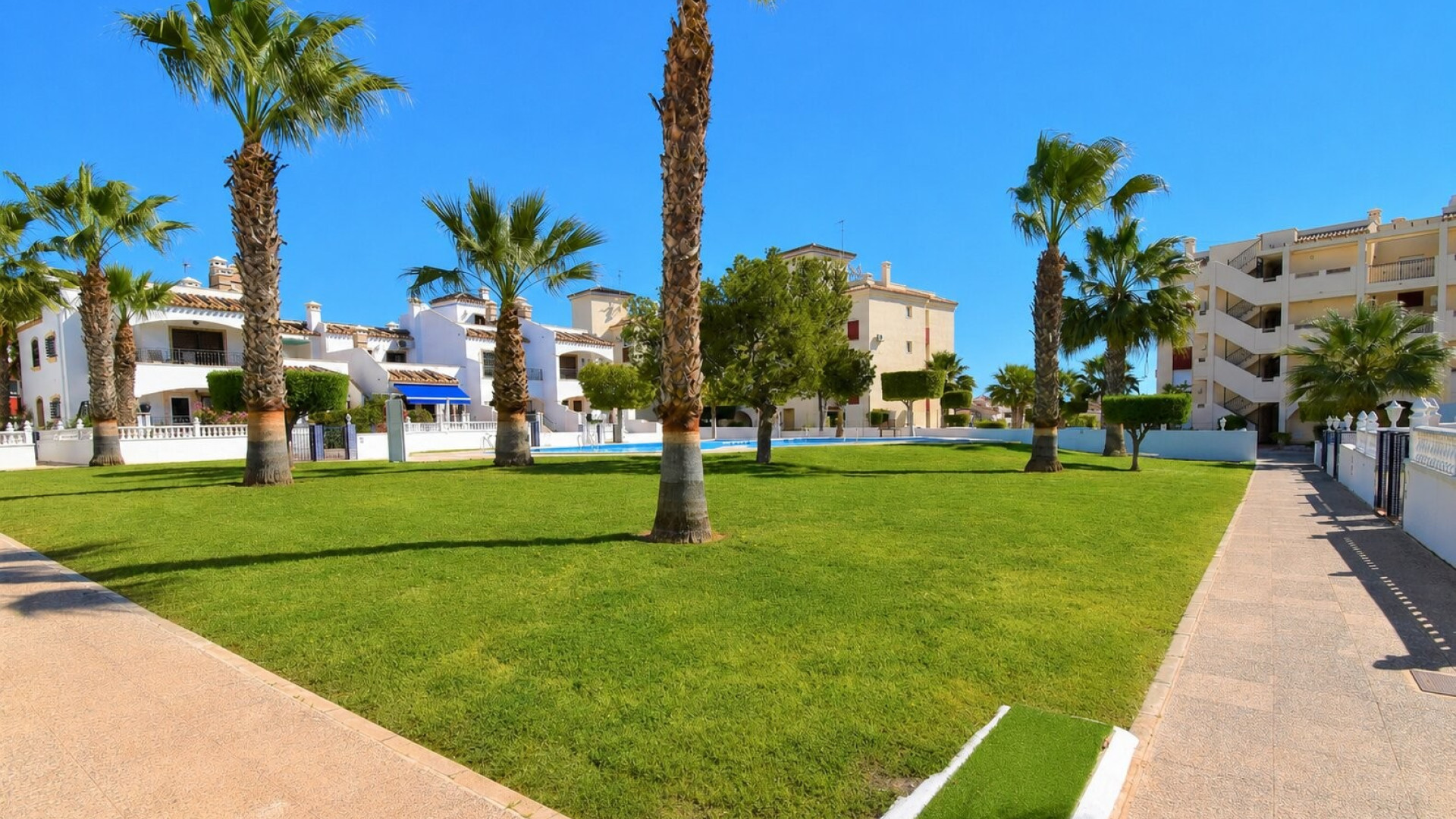 Sprzedaż - Apartment - Orihuela Costa - Playa Flamenca