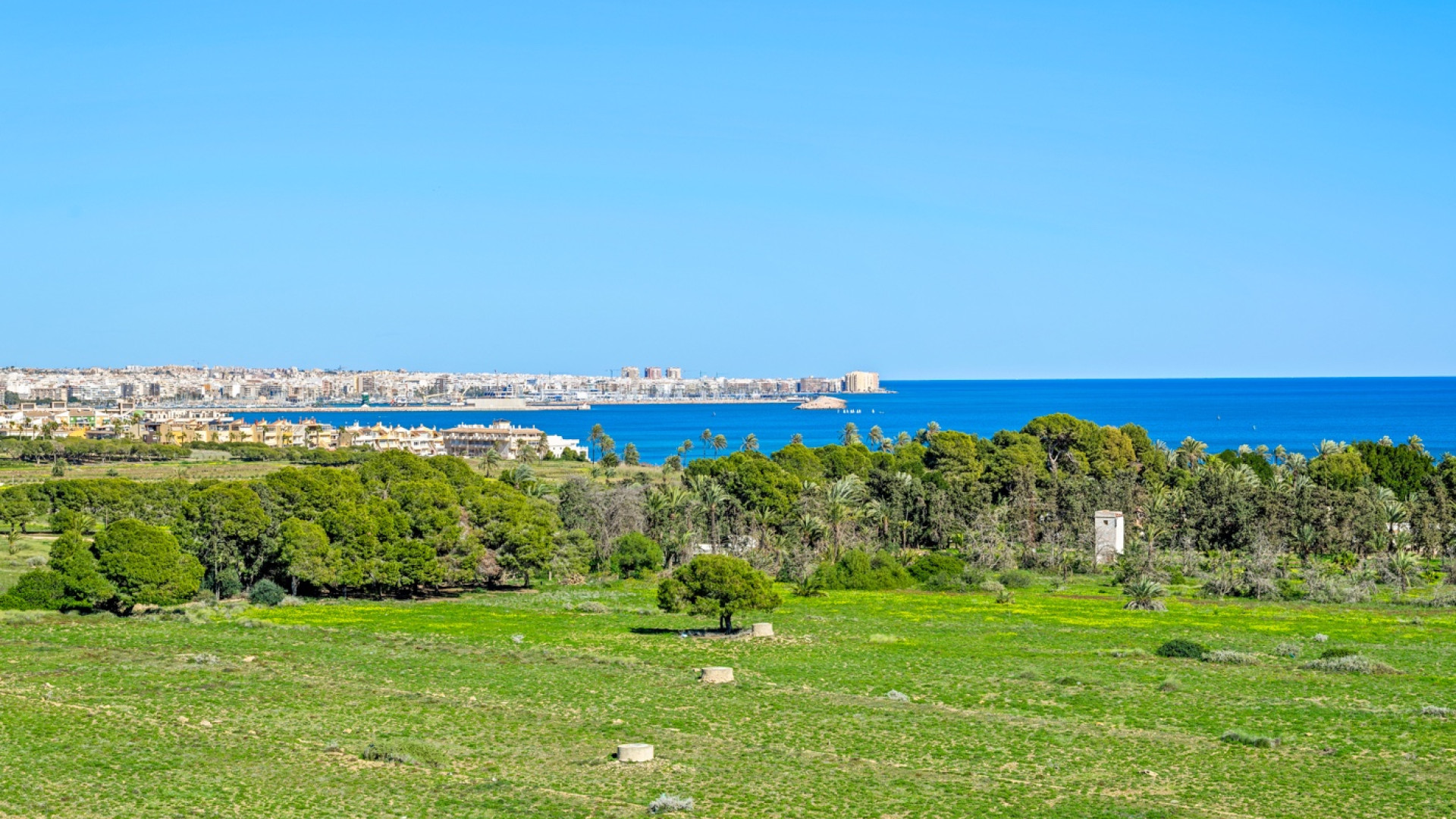 Sprzedaż - Apartment - Orihuela Costa - Punta Prima
