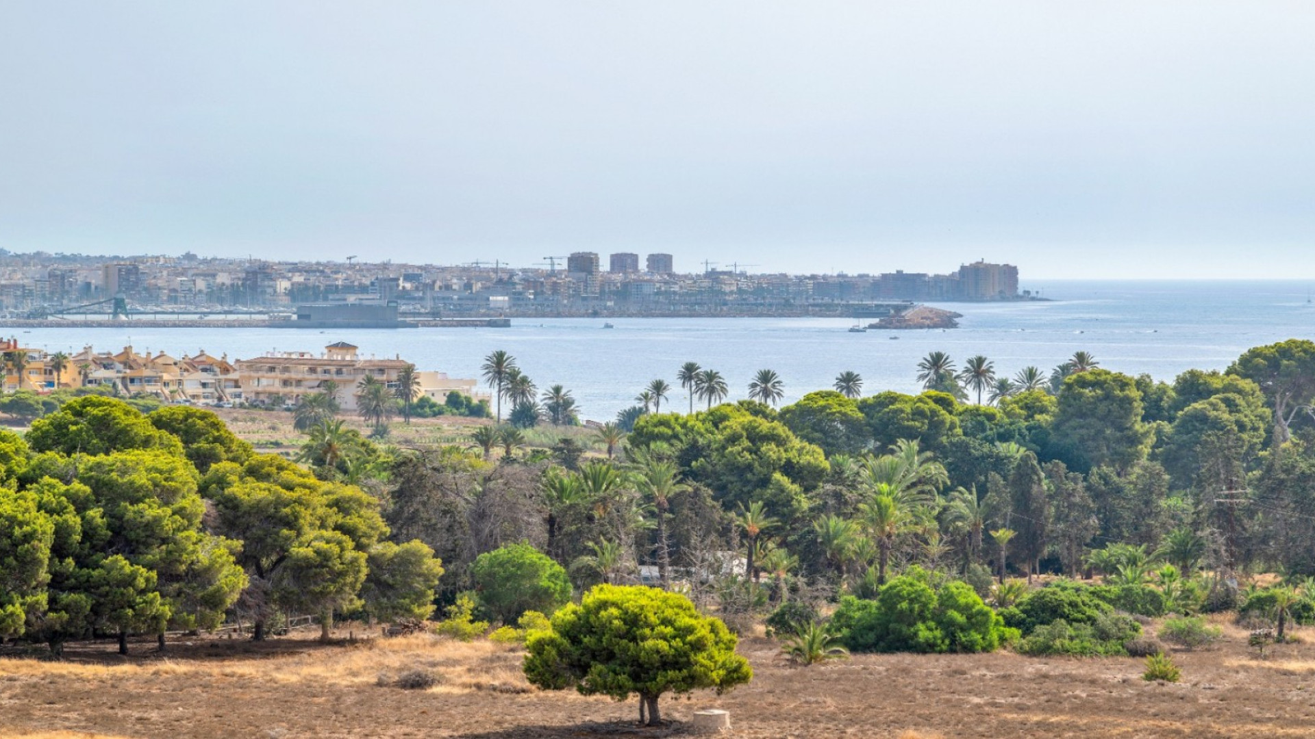 Sprzedaż - Apartment - Orihuela Costa - Punta Prima