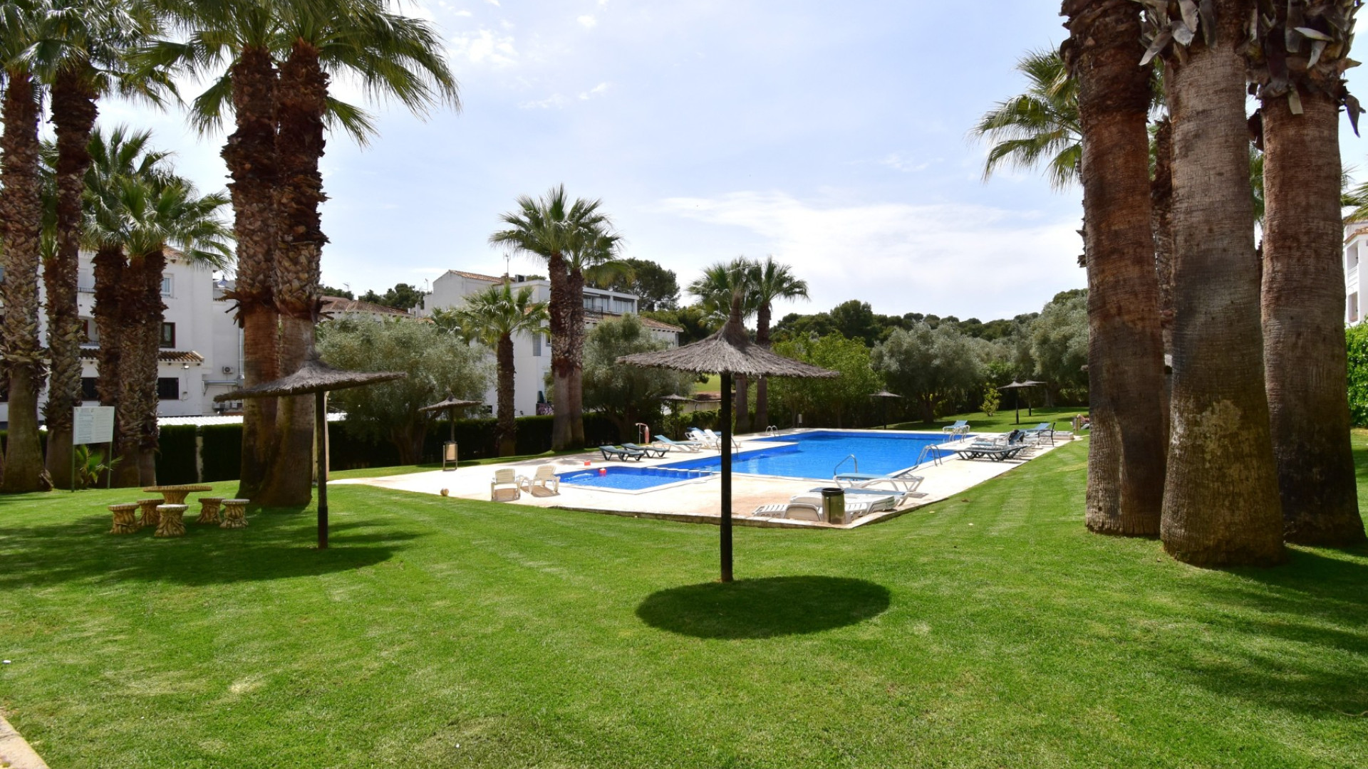 Sprzedaż - Apartment - Orihuela Costa - Villamartin