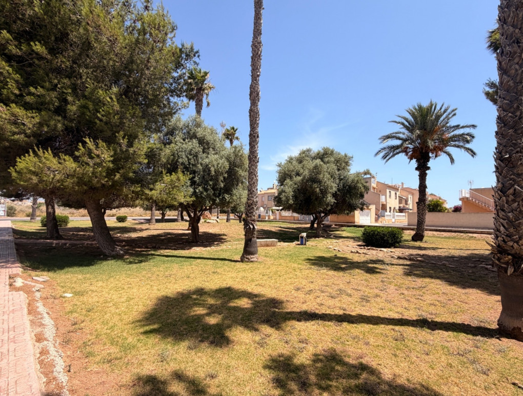 Sprzedaż - Apartment - Torrevieja - El limonar