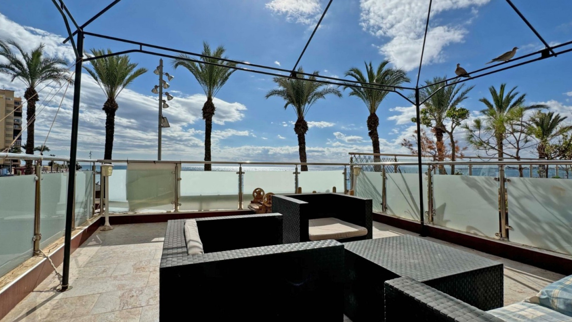 Sprzedaż - Apartment - Torrevieja - Playa del Cura