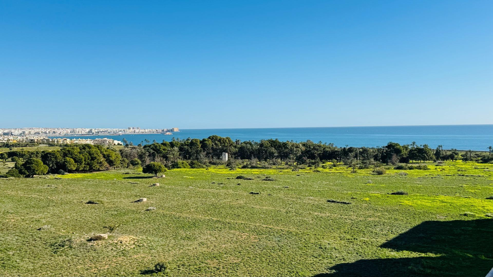 Sprzedaż - Apartment - Torrevieja - Punta Prima