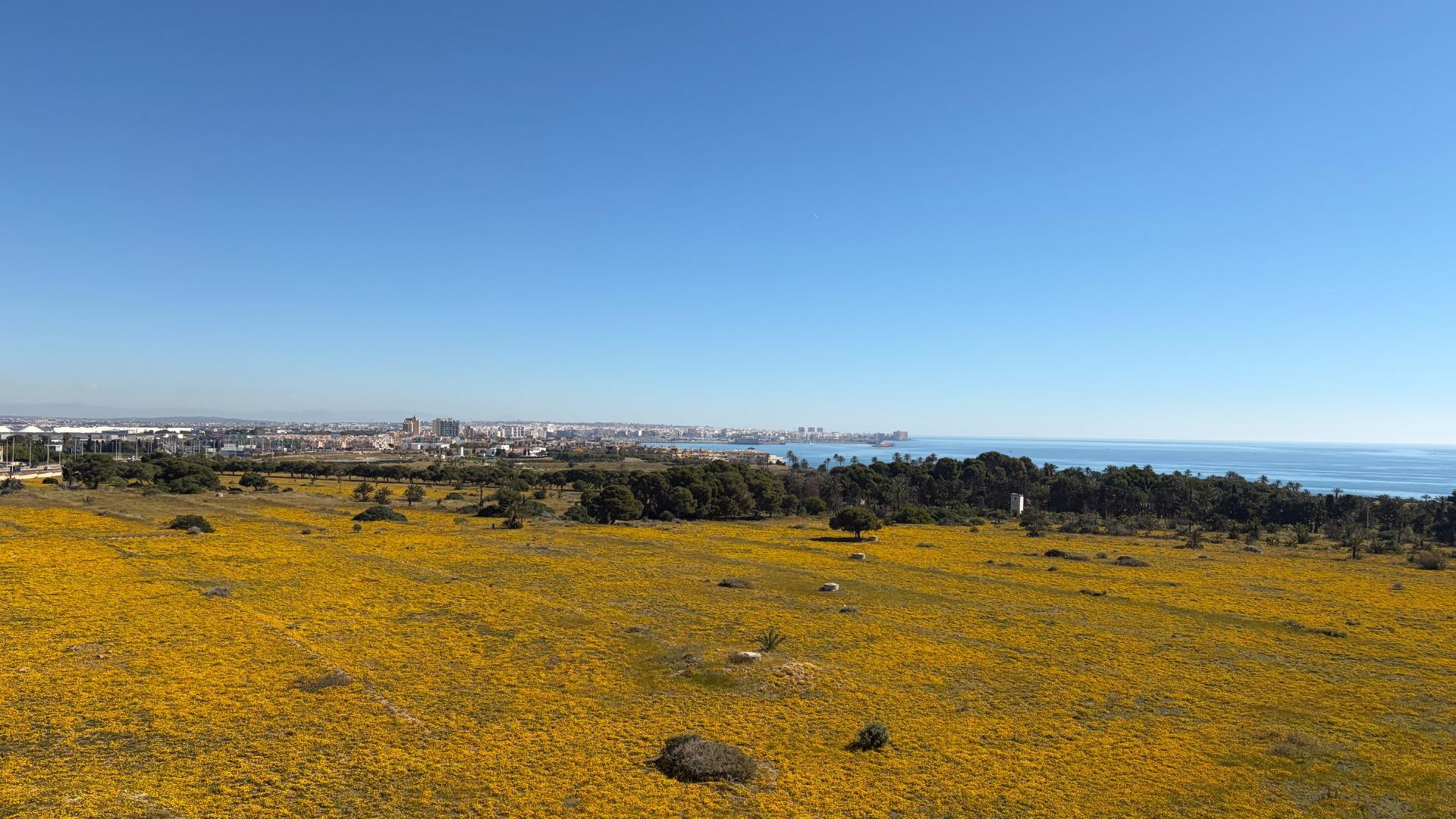 Sprzedaż - Apartment - Torrevieja - Punta Prima