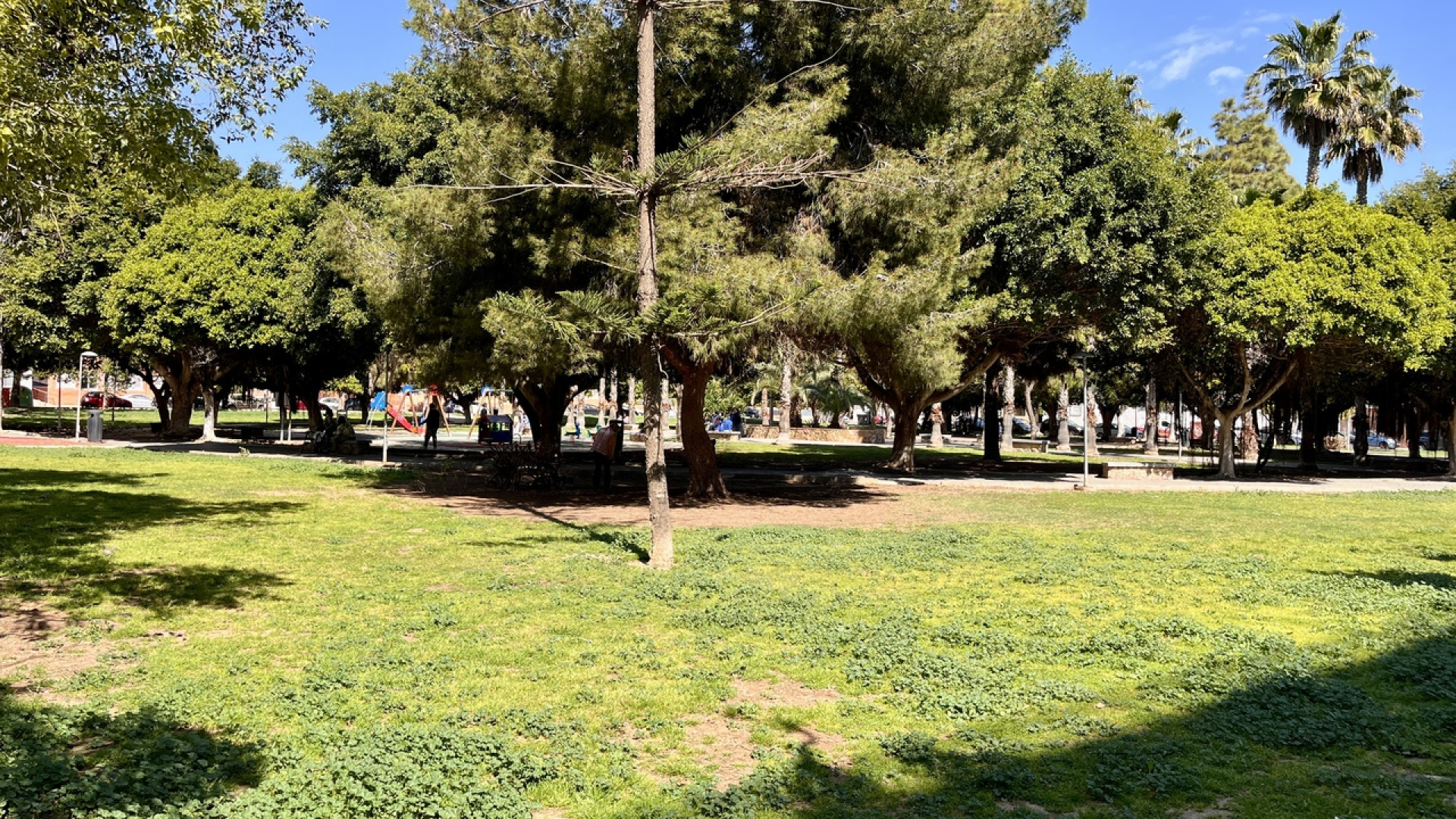 Sprzedaż - Apartment - Torrevieja