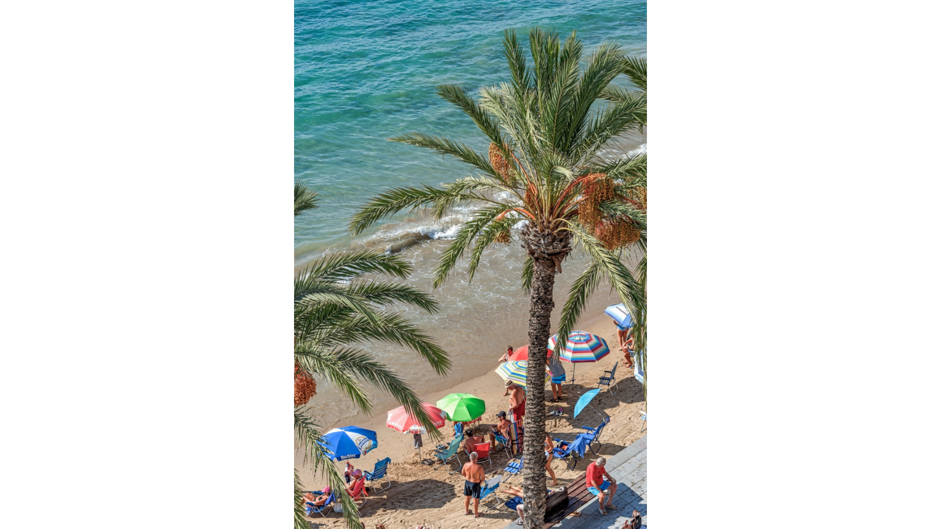 Sprzedaż - Apartment - Torrevieja