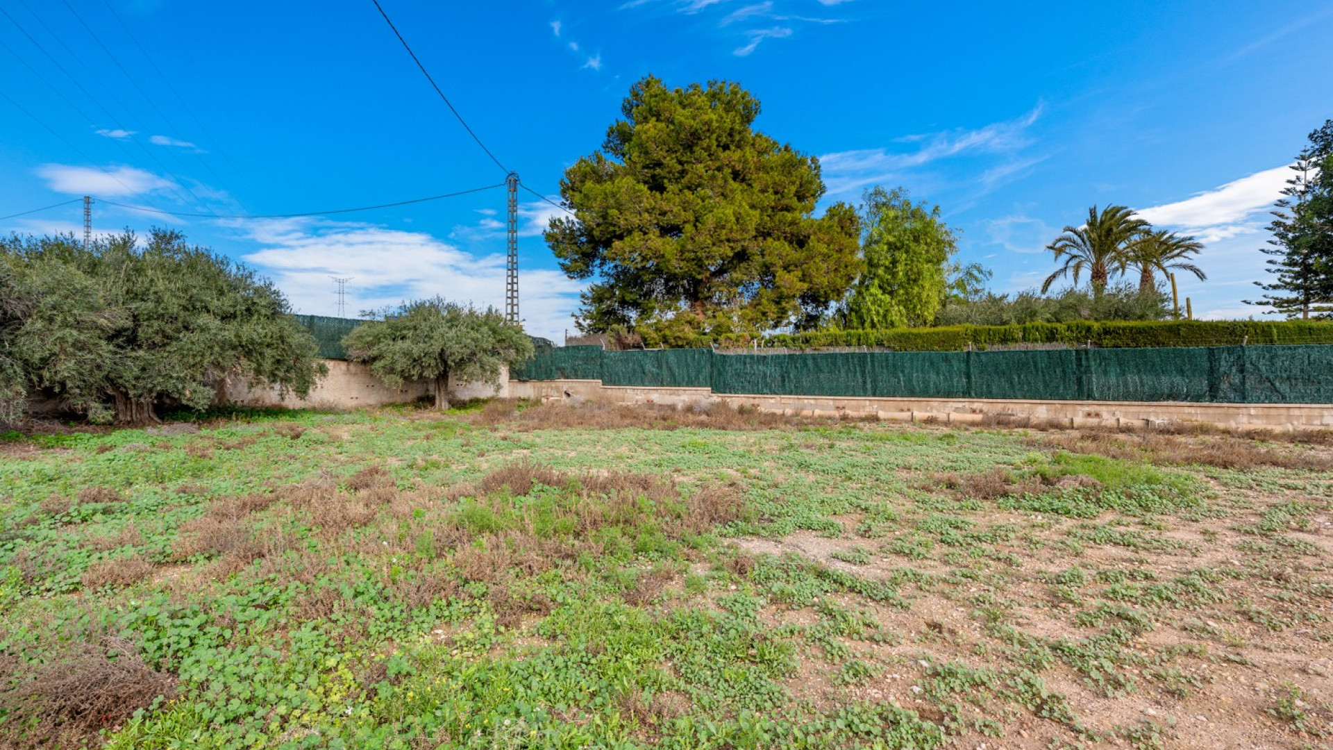 Sprzedaż - Bungalow - Elche - Elche/Elx