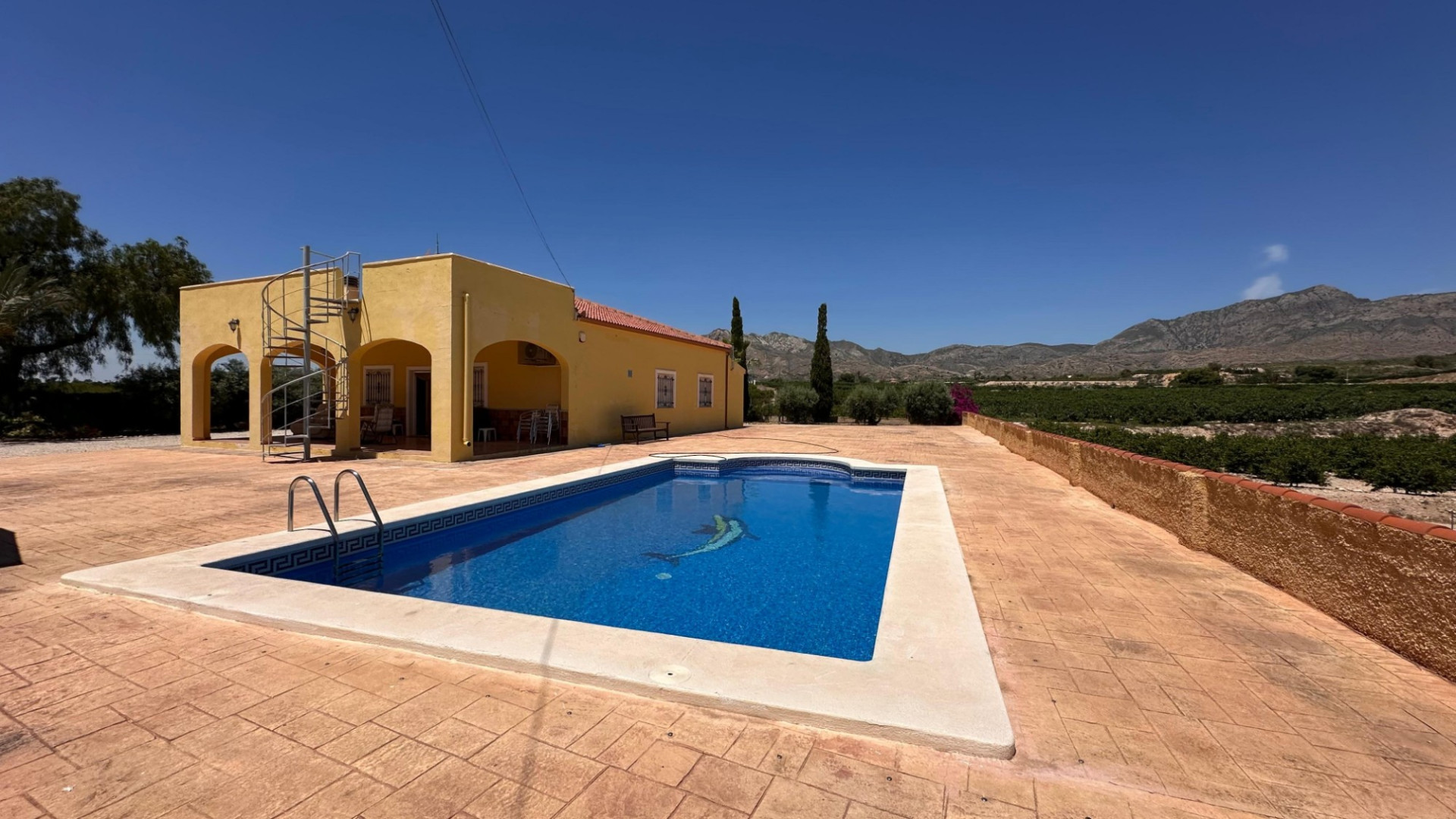 Sprzedaż - Country Property - Albatera - Albatera - Country