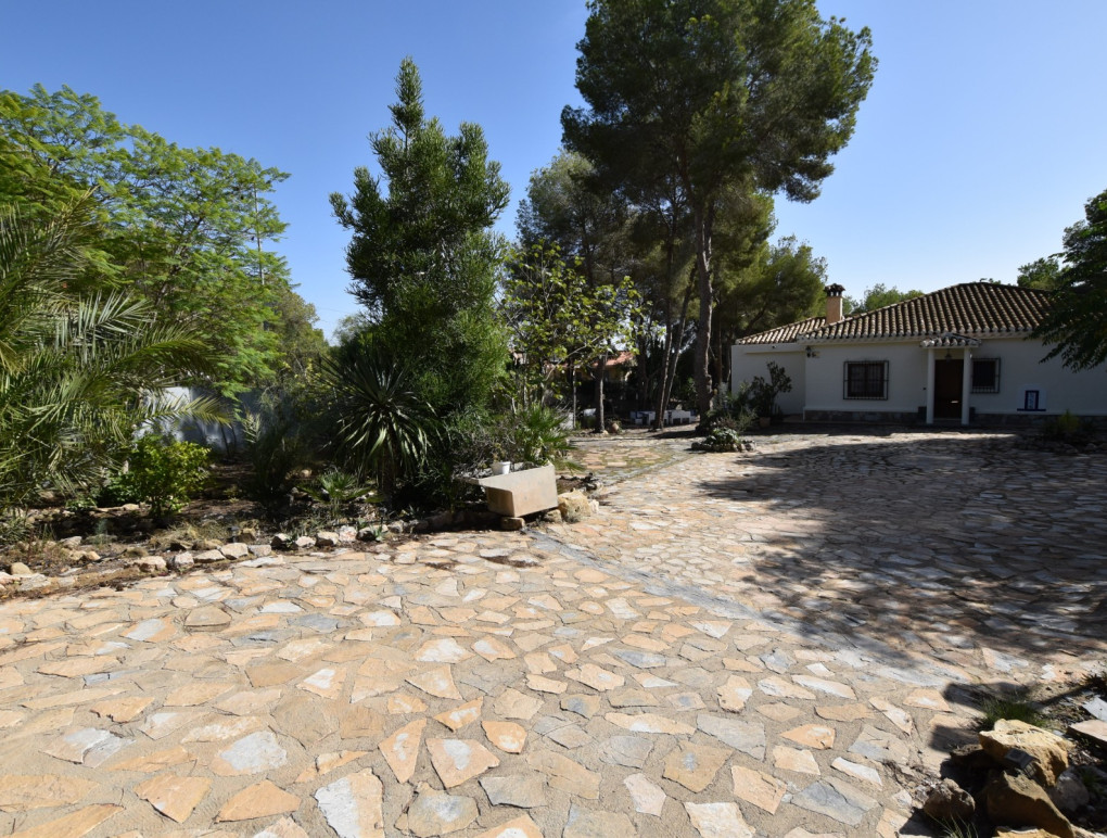 Sprzedaż - Country Property - Algorfa - Montemar