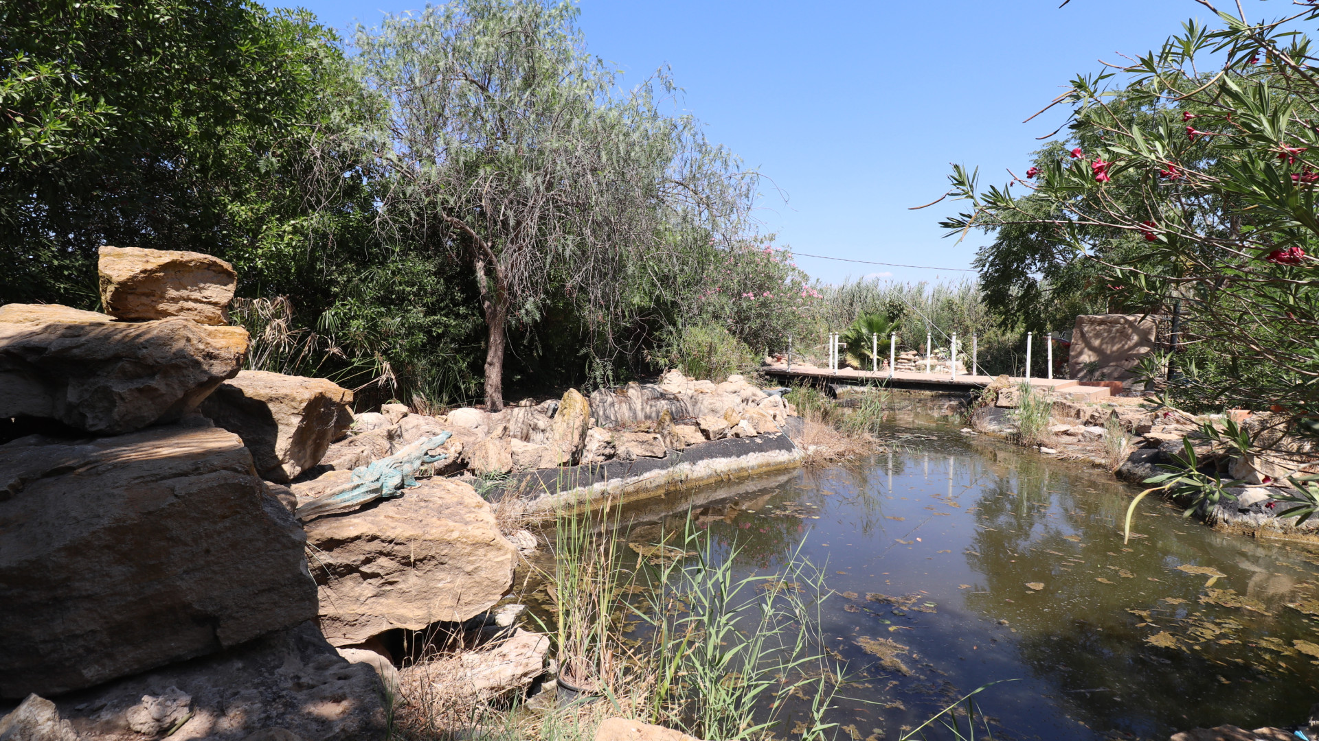 Sprzedaż - Country Property - Catral - Catral - Country