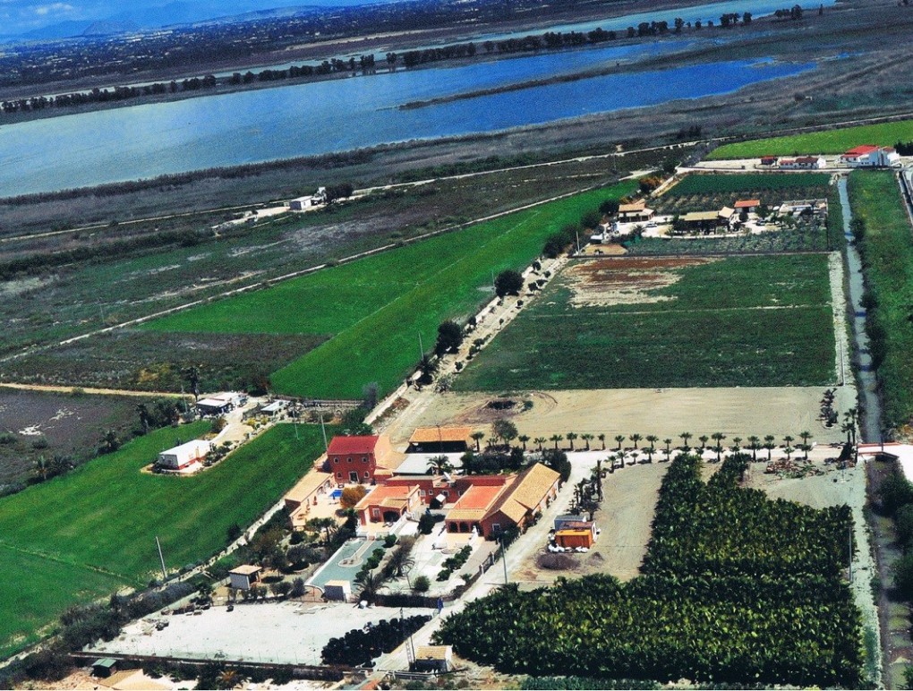 Sprzedaż - Country Property - Catral