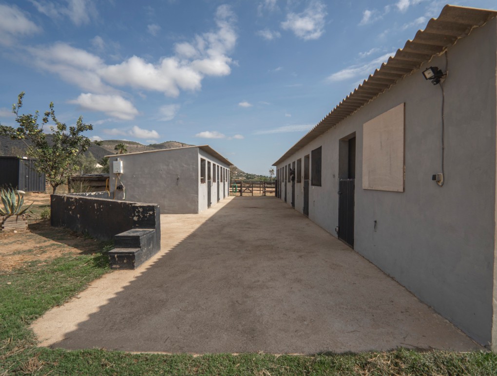 Sprzedaż - Country Property - Hondon de las Nieves