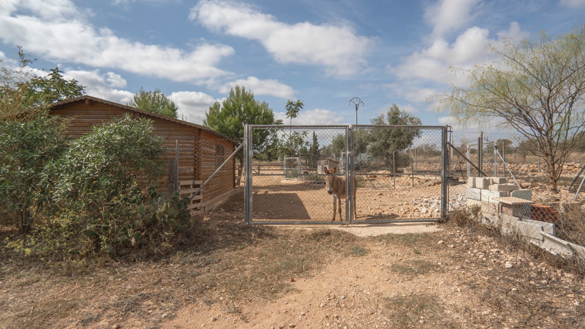 Sprzedaż - Country Property - Hondon de las Nieves