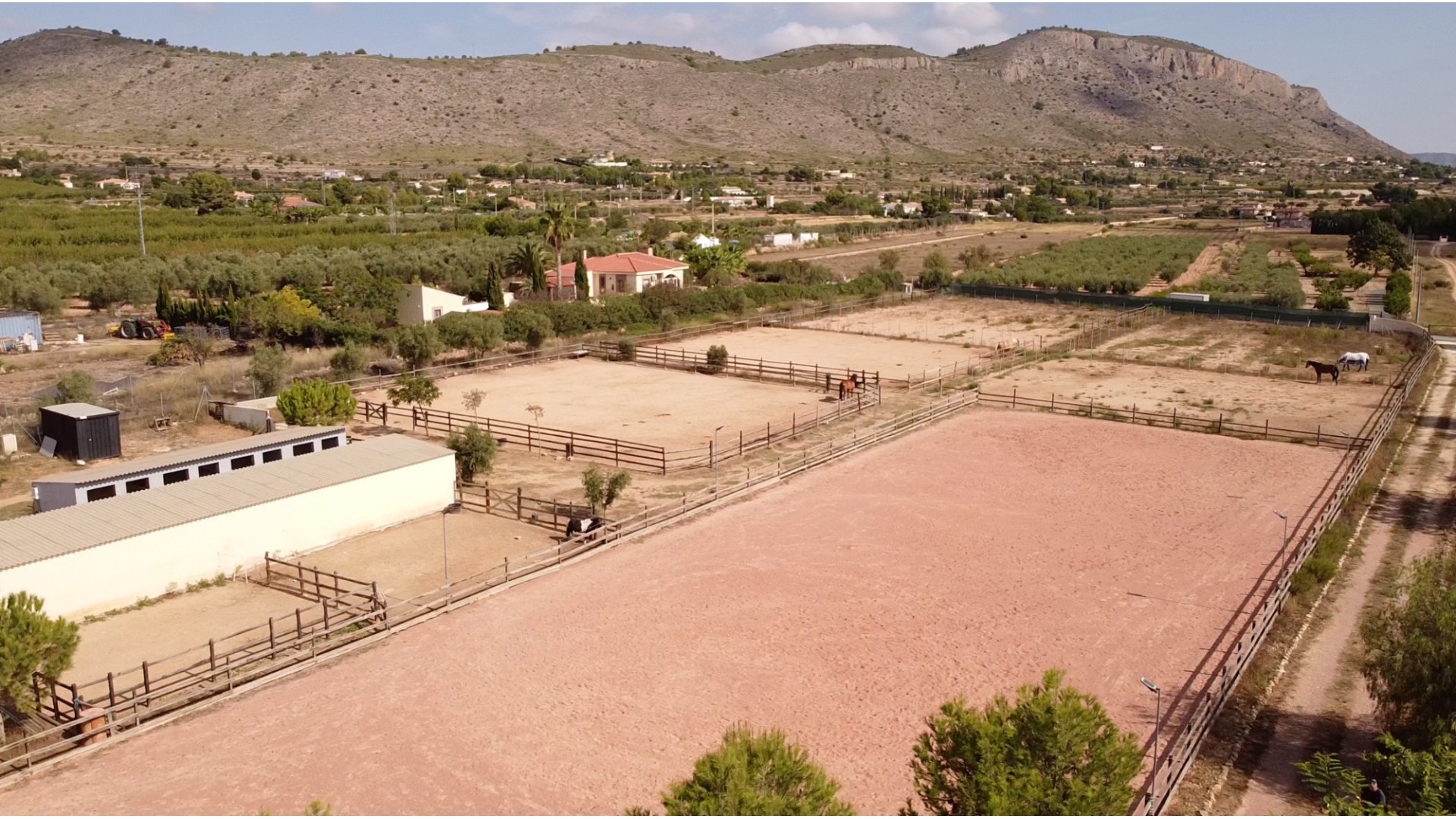 Sprzedaż - Country Property - Hondon de las Nieves