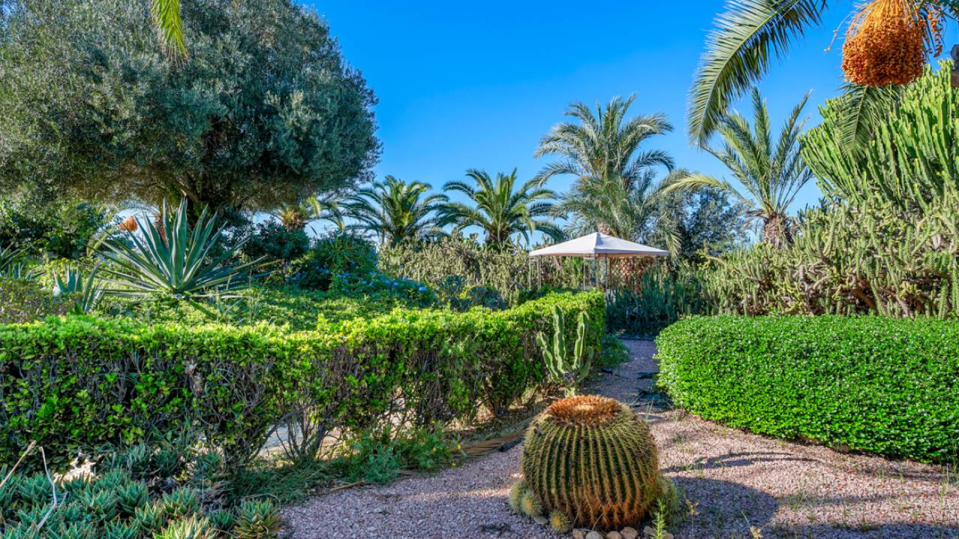 Sprzedaż - Country Property - Los Montesinos