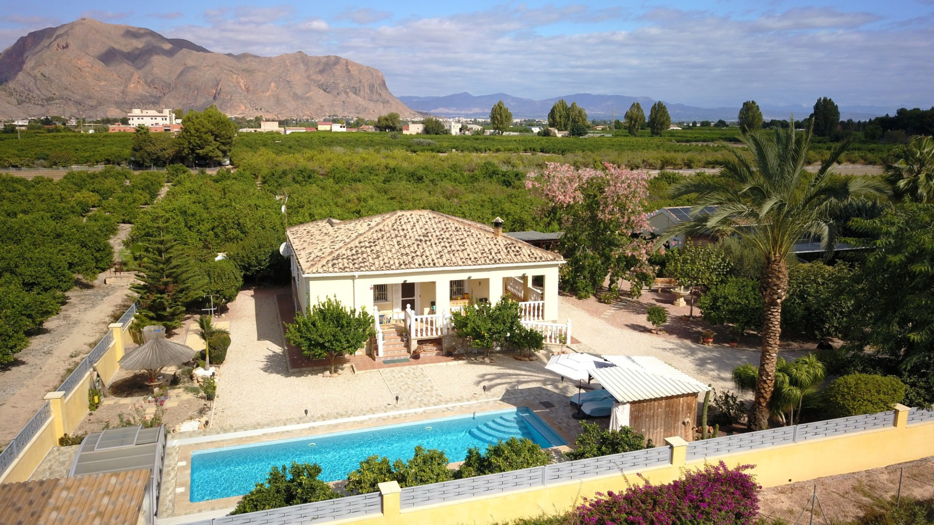 Sprzedaż - Country Property - Orihuela - La Campaneta