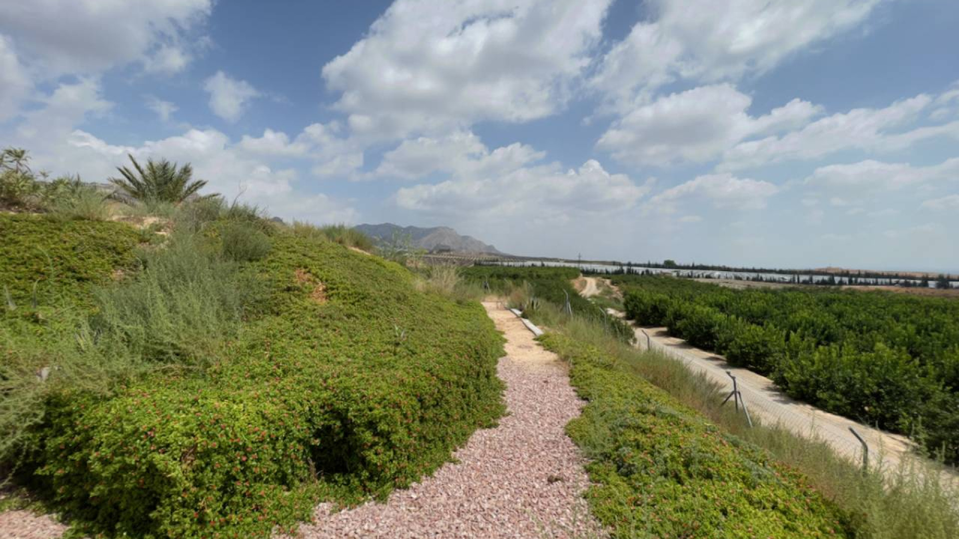 Sprzedaż - Country Property - Orihuela