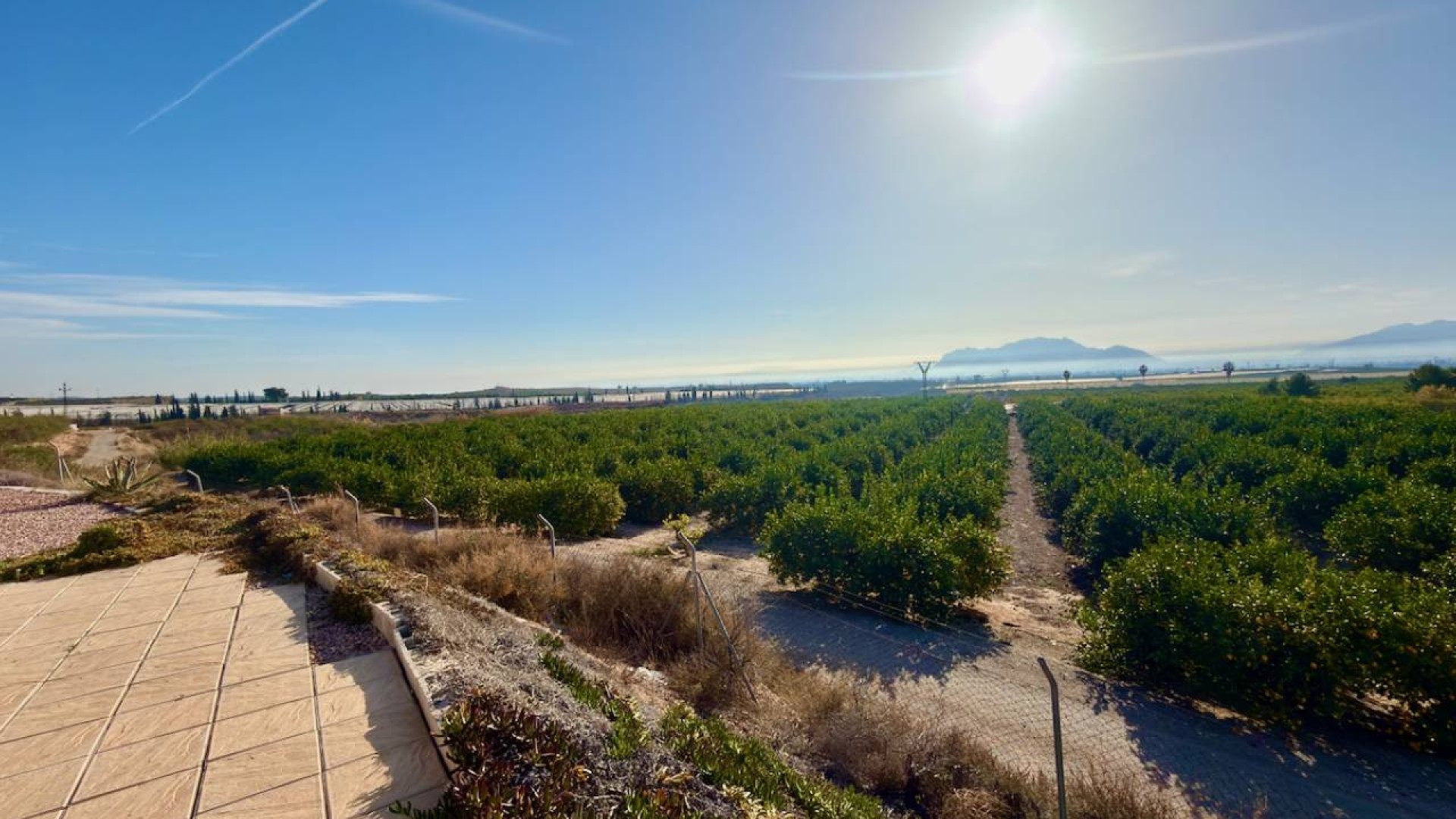 Sprzedaż - Country Property - Orihuela