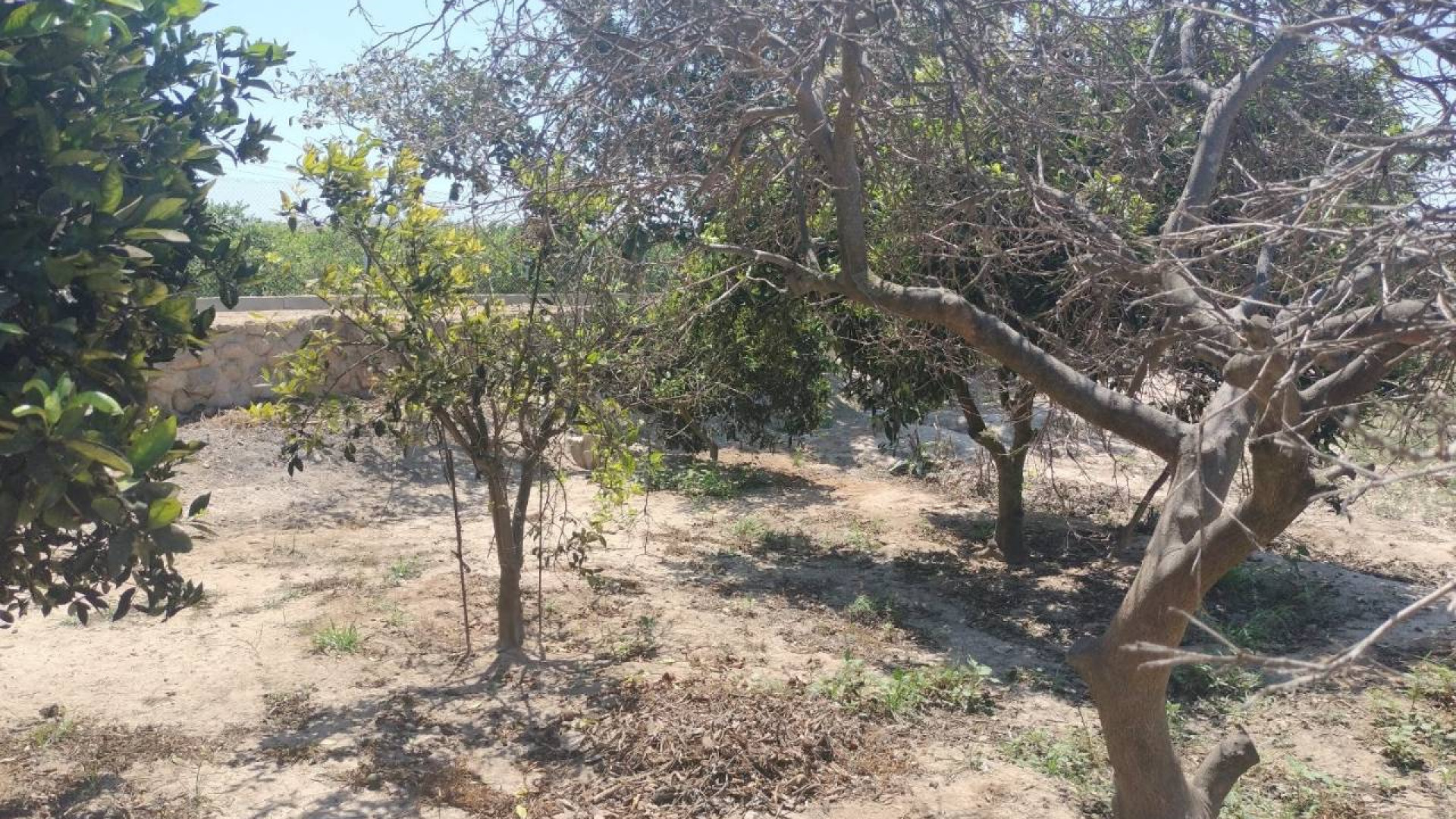 Sprzedaż - Country Property - Rojales - Cuidad Quesada