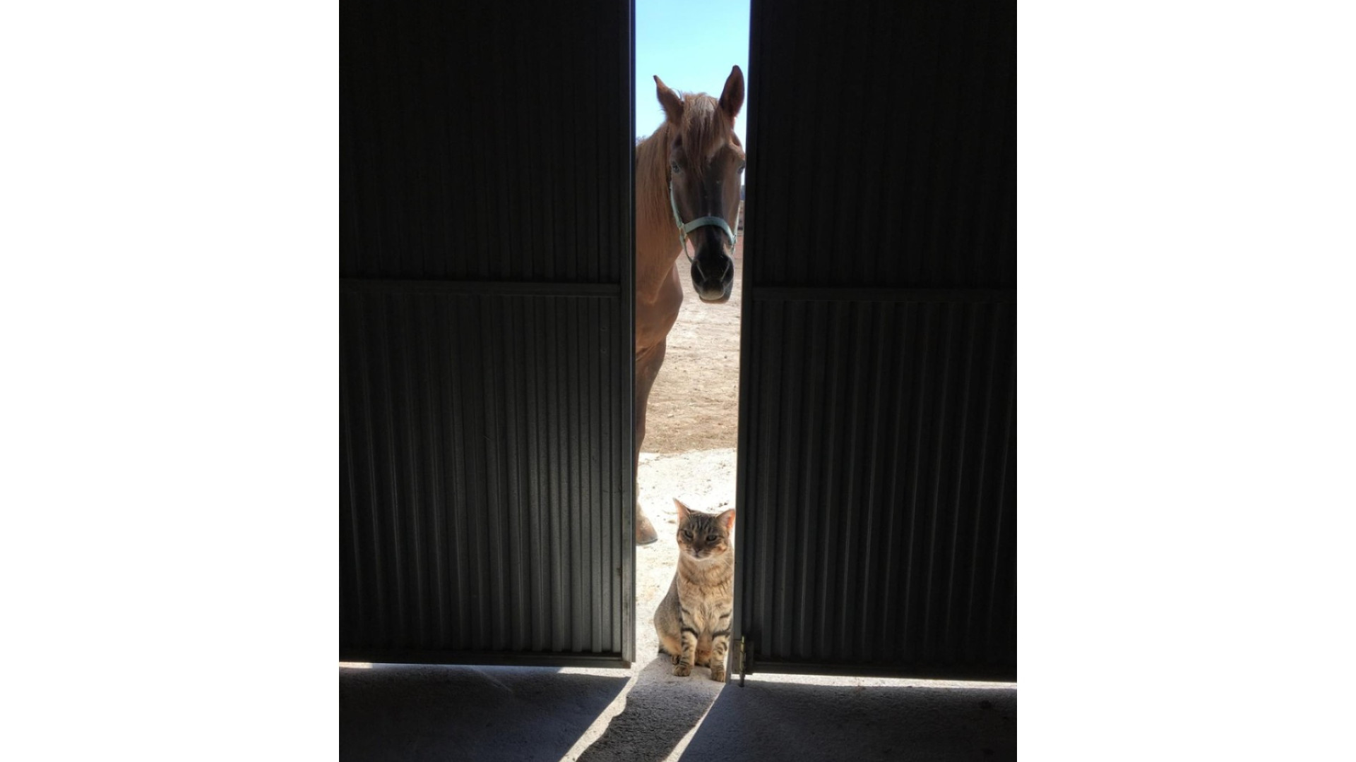 Sprzedaż - Country Property - Torre Del Rico