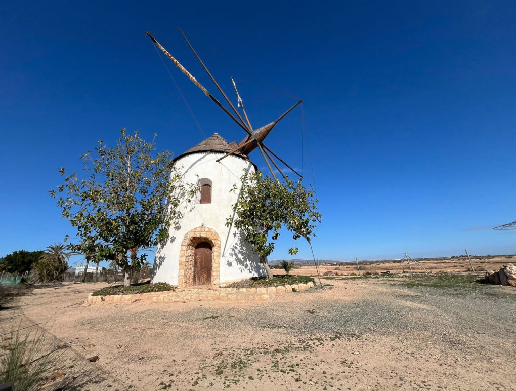 Sprzedaż - Country Property - Torre Pacheco
