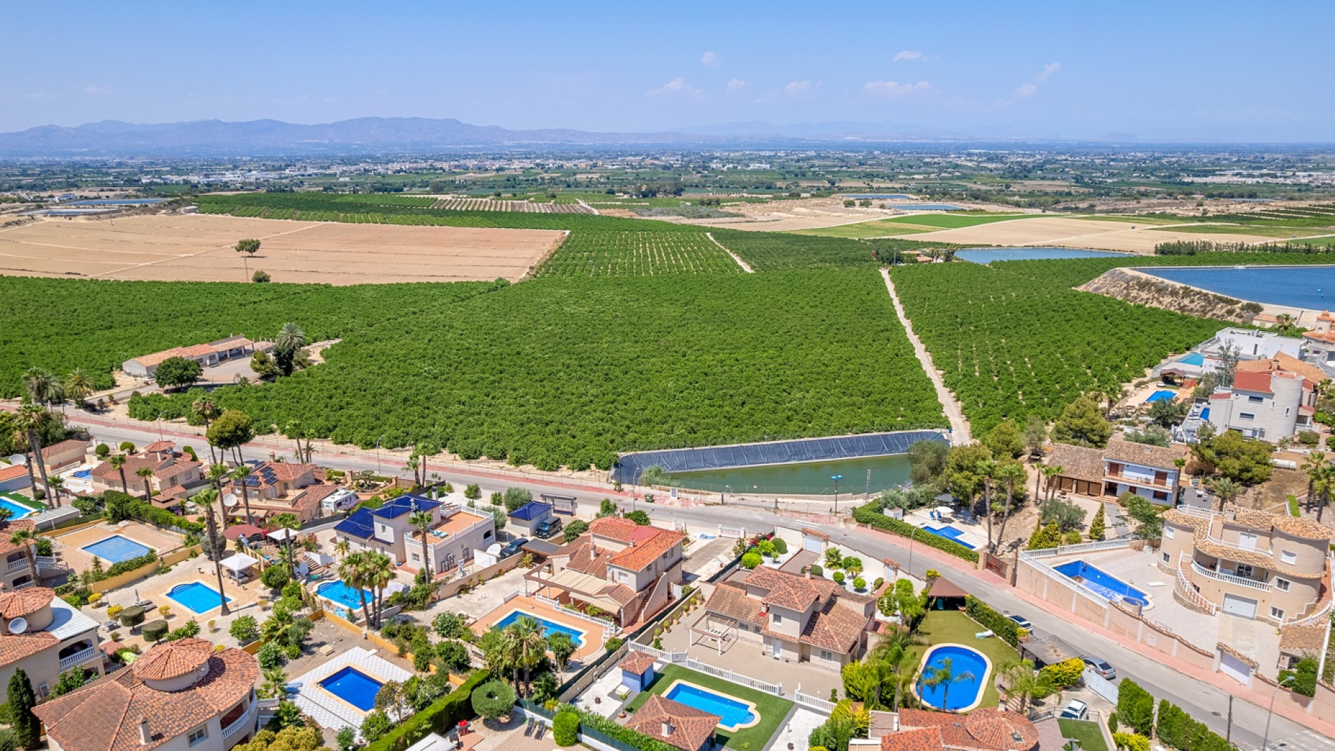 Sprzedaż - Detached Villa - Algorfa - Lomas De La Juliana