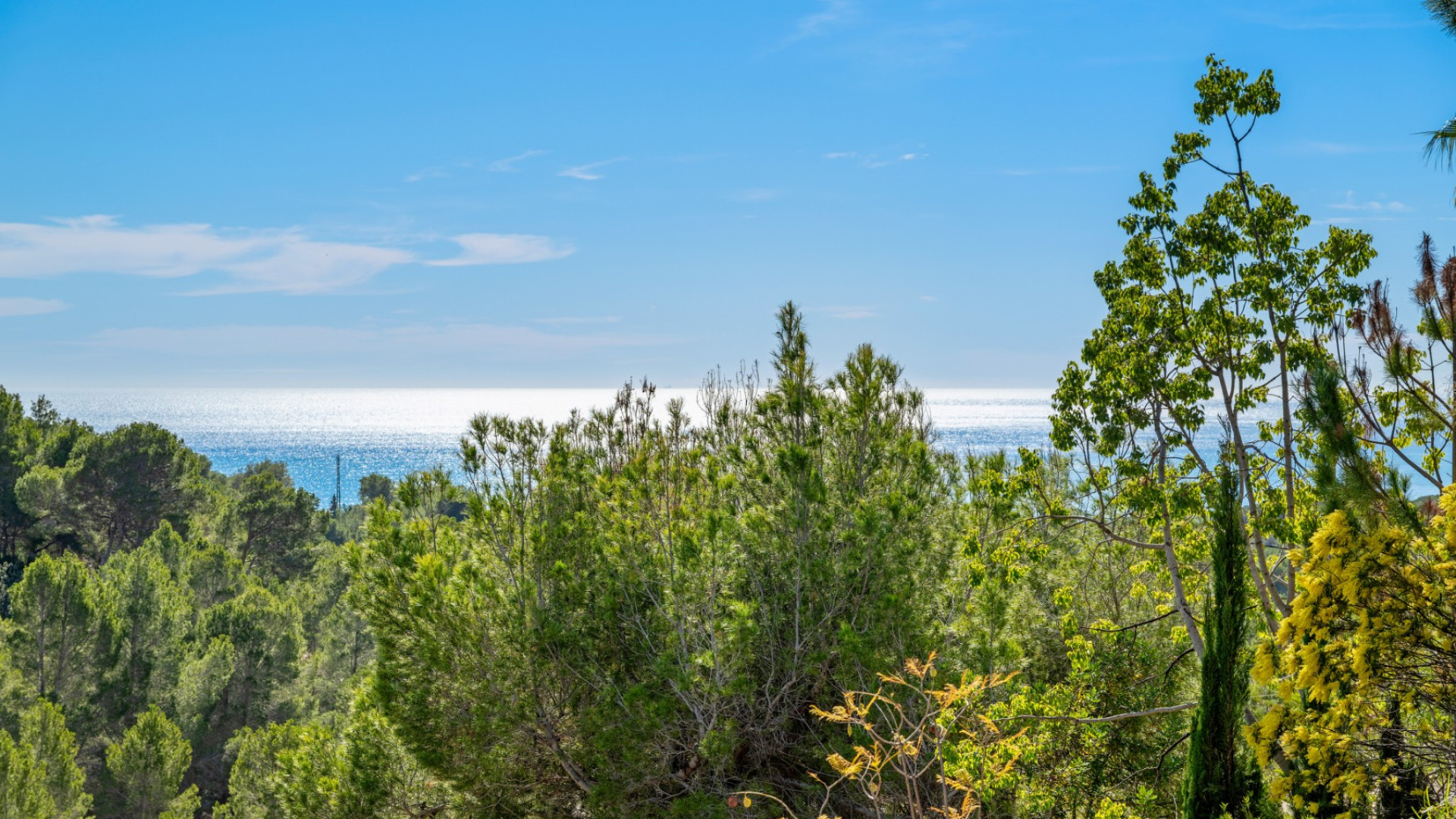 Sprzedaż - Detached Villa - Altea