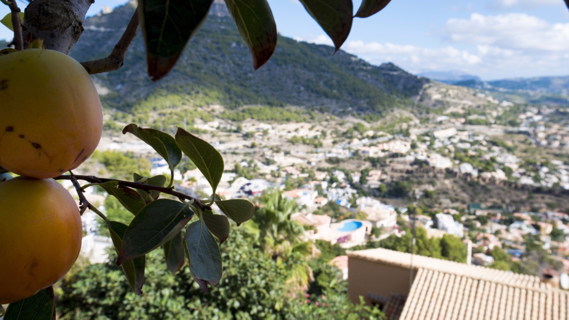 Sprzedaż - Detached Villa - Calpe - Maryvilla