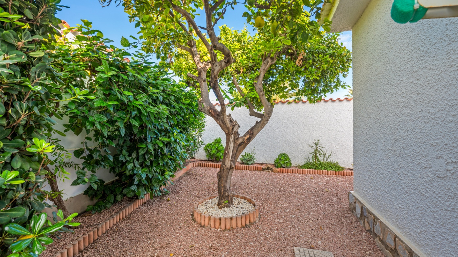 Sprzedaż - Detached Villa - Ciudad Quesada - Rojales