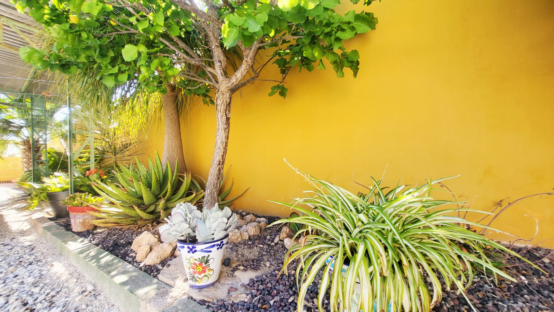 Sprzedaż - Detached Villa - Ciudad Quesada