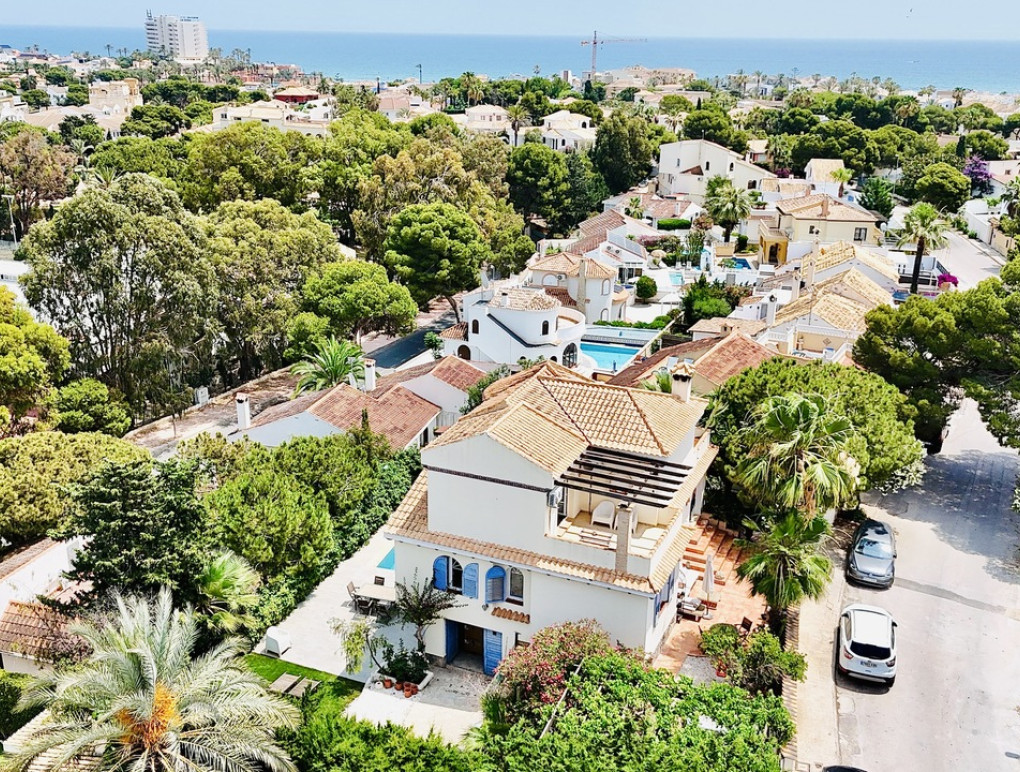 Sprzedaż - Detached Villa - La Zenia