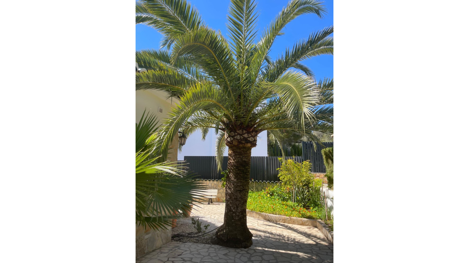 Sprzedaż - Detached Villa - Moraira - Benimeit