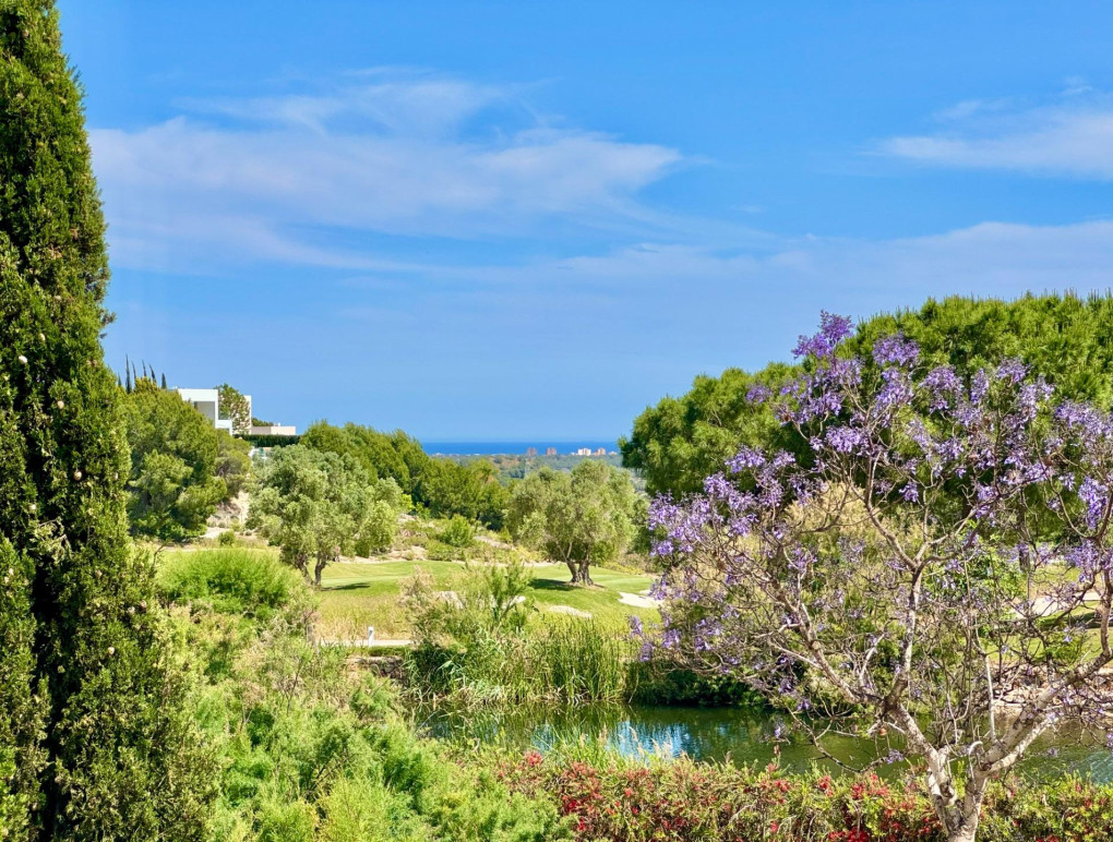 Sprzedaż - Detached Villa - Orihuela - Las Colinas Golf