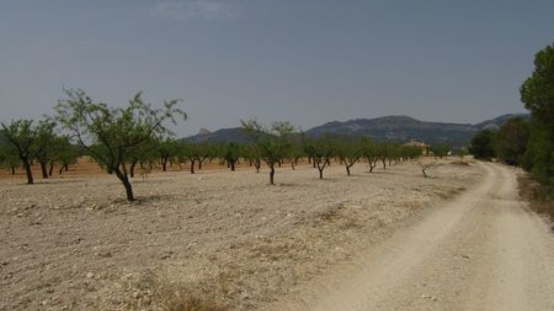 Sprzedaż - Działka / Grunt - Murcia