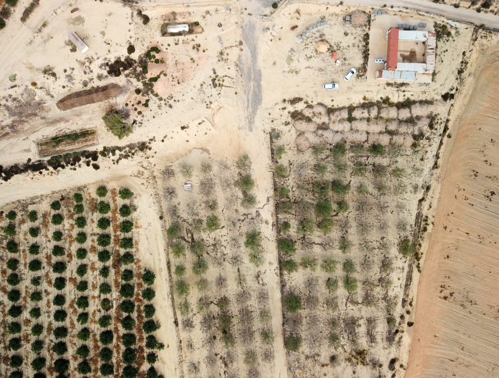 Sprzedaż - Działka / Grunt - Torremendo - Torremendo - Country