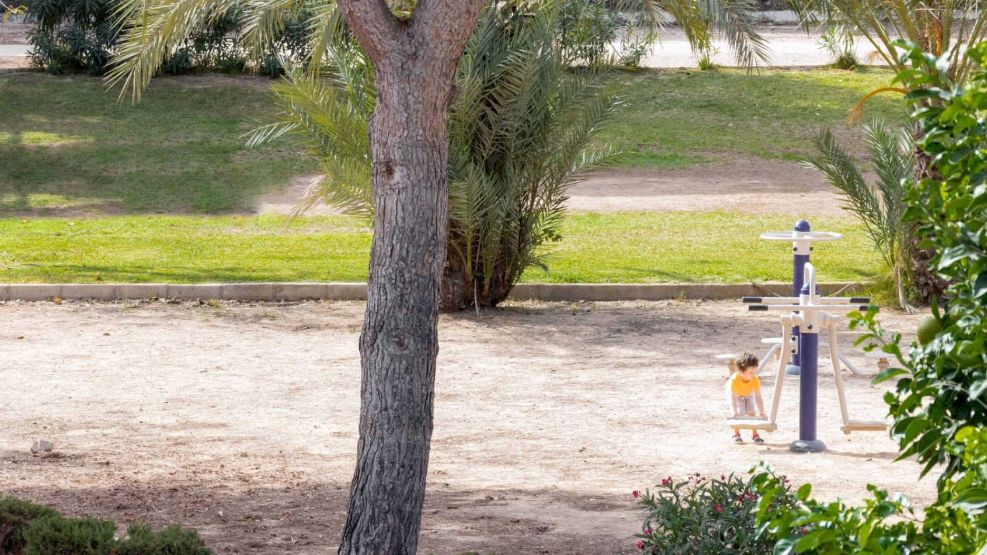 Sprzedaż - Kamienica - Orihuela Costa - La Zenia