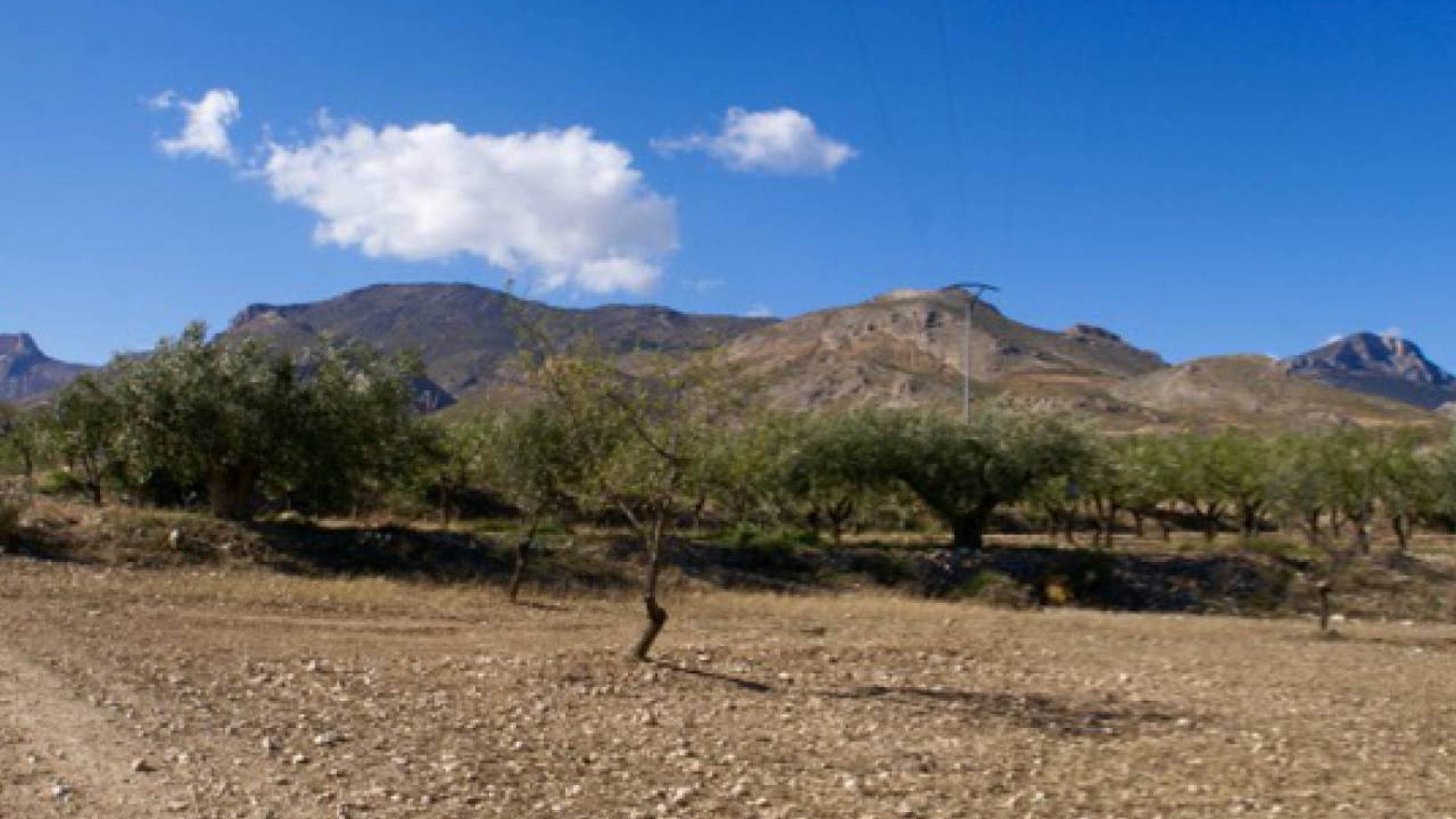Sprzedaż - Plot of Land - Murcia