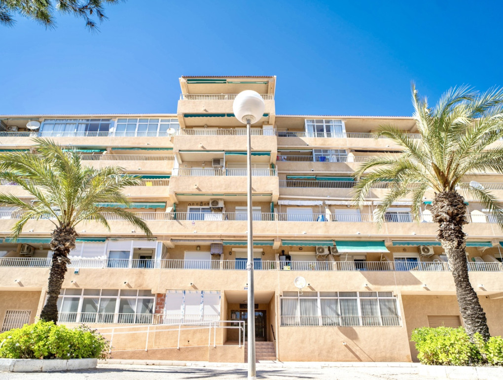 Venta - Apartment - Guardamar del Segura