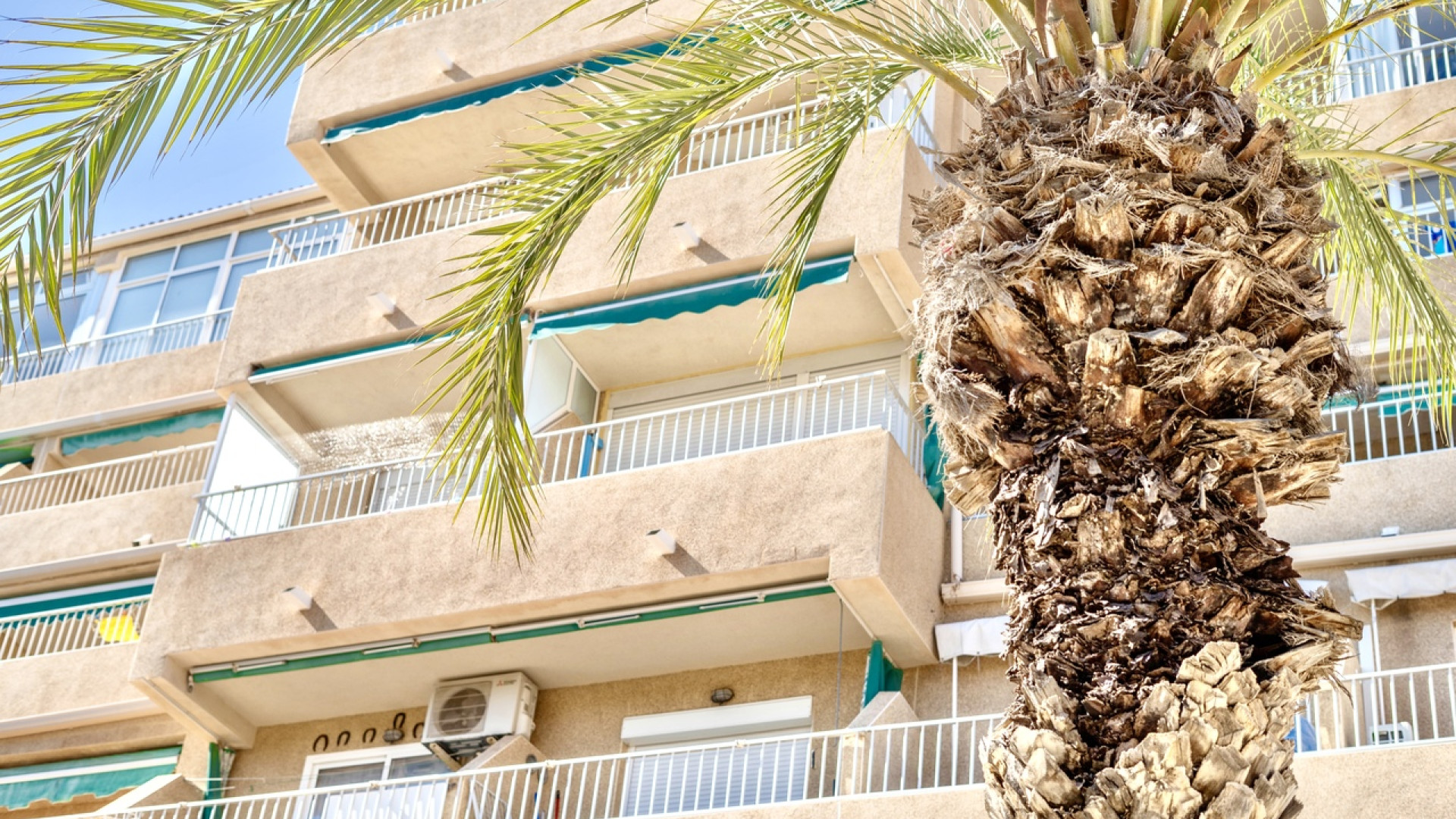 Venta - Apartment - Guardamar del Segura