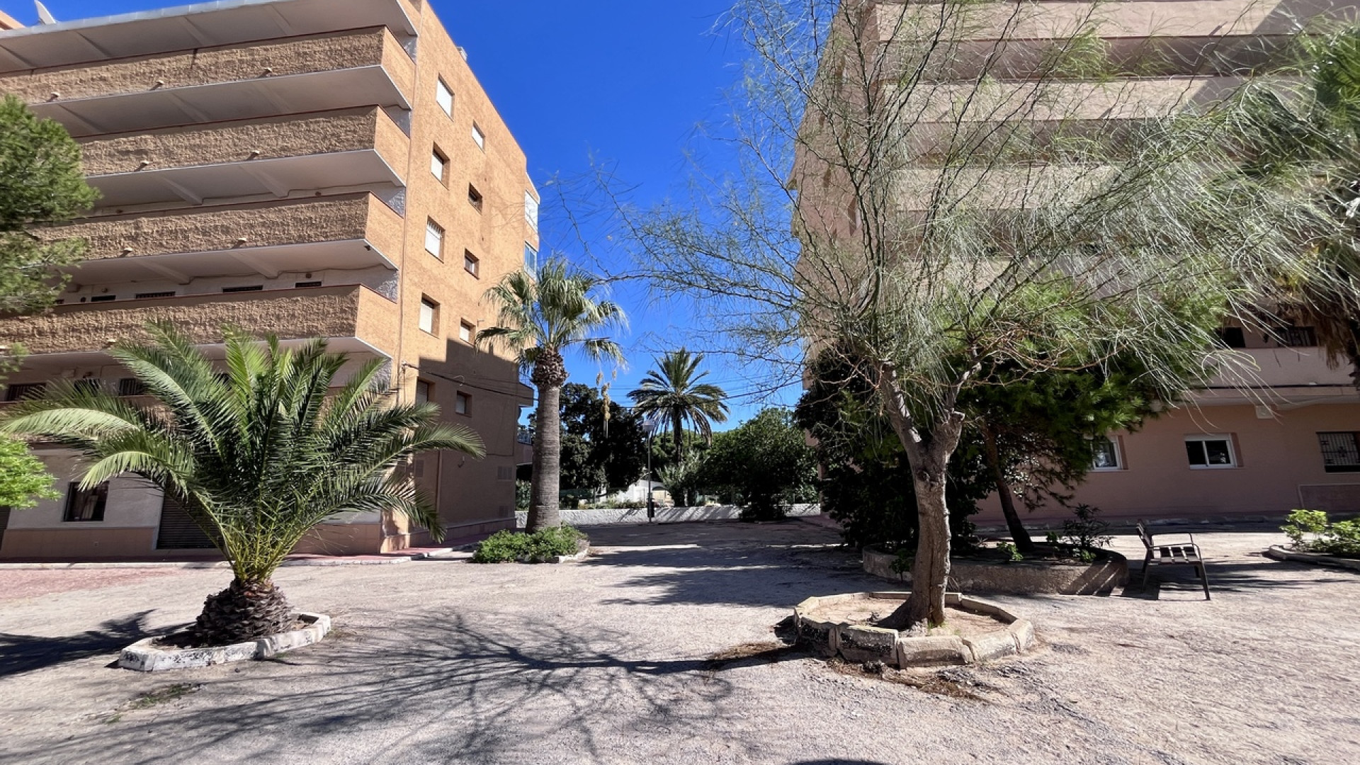 Venta - Apartment - La Mata