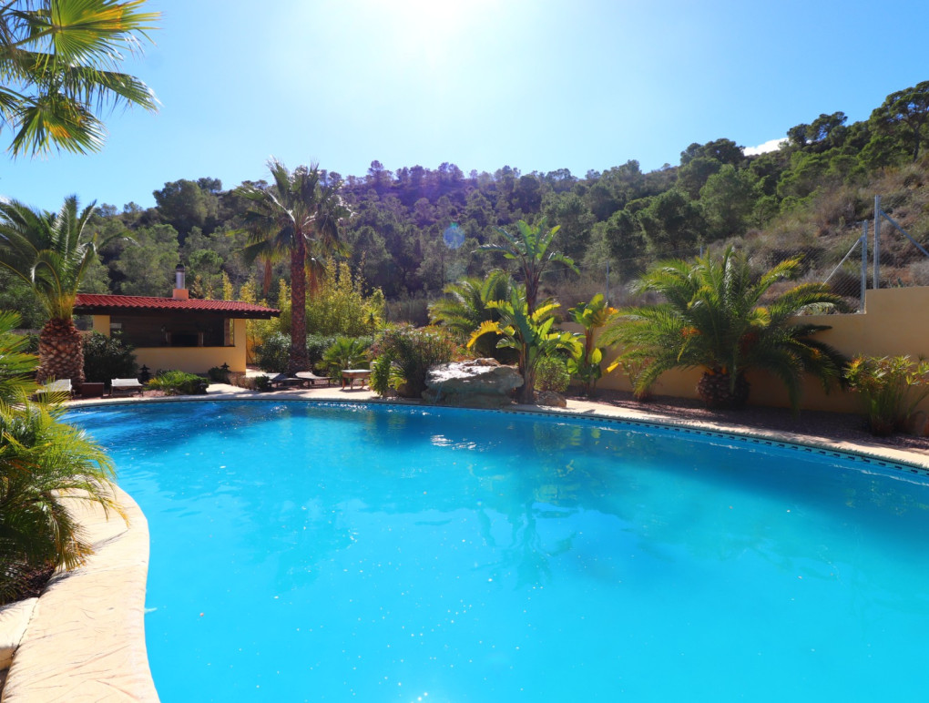 Venta - Country Property - Aspe - Aspe - Country