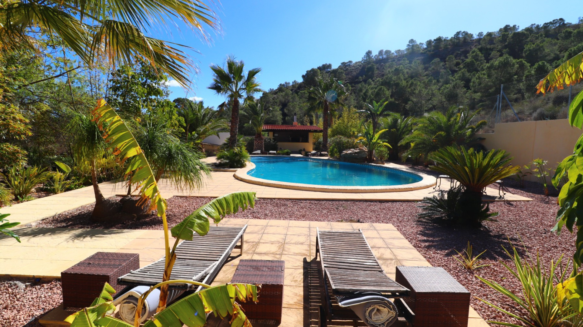 Venta - Country Property - Aspe - Aspe - Country