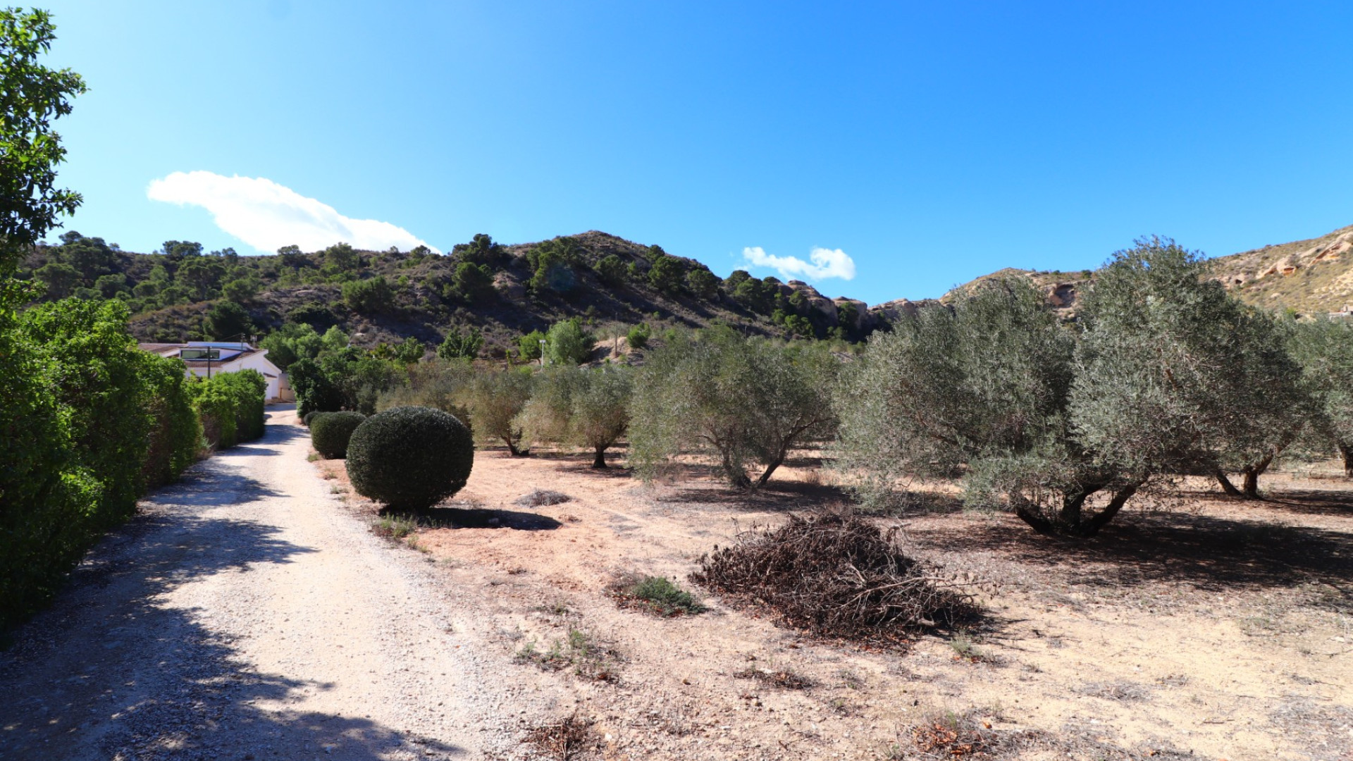 Venta - Country Property - Aspe - Aspe - Country