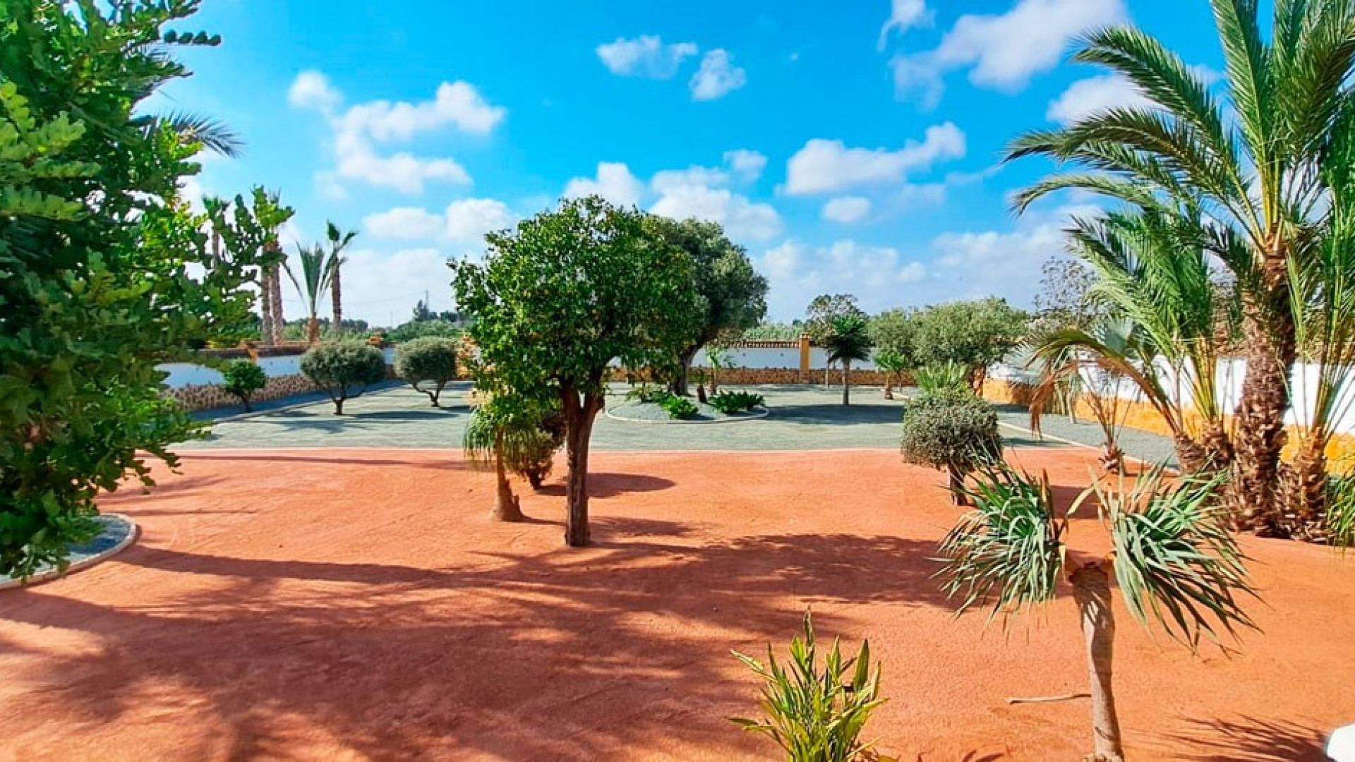 Venta - Country Property - Catral - Catral - Country